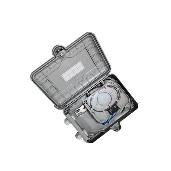 100G Aggregation Switch Agent